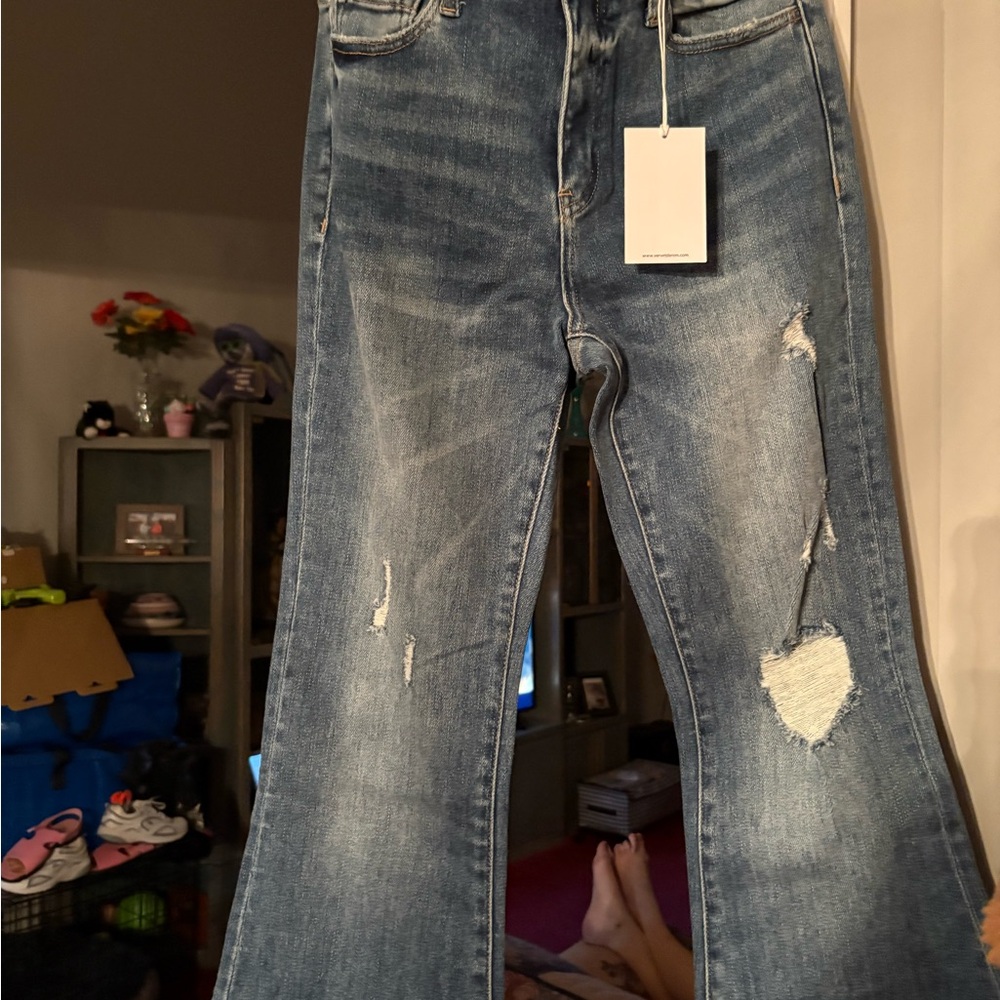 New Vervet Distressed Blue Jeans